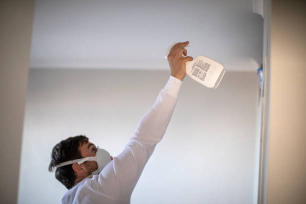 Best Local Mold Removal Service  in Nice, CA